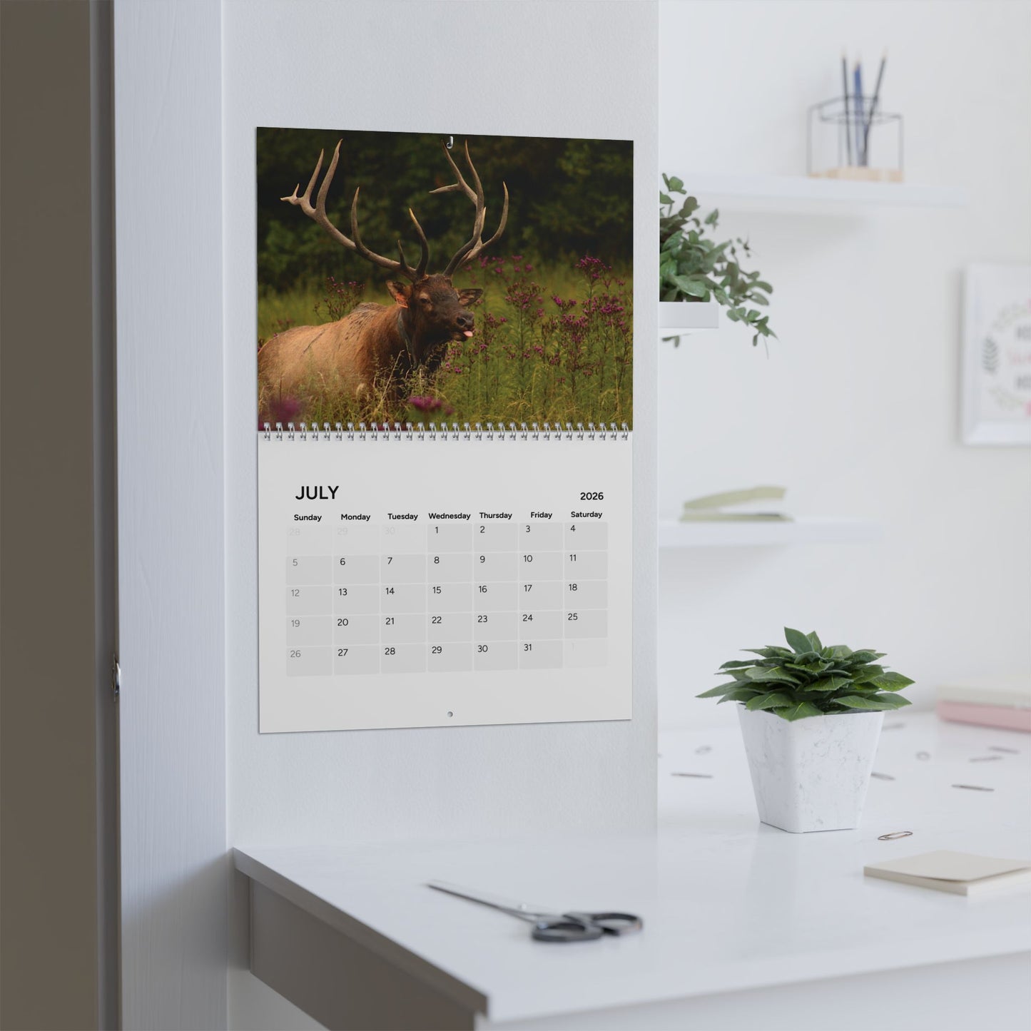 2026 Wildlife & Nature Calendar
