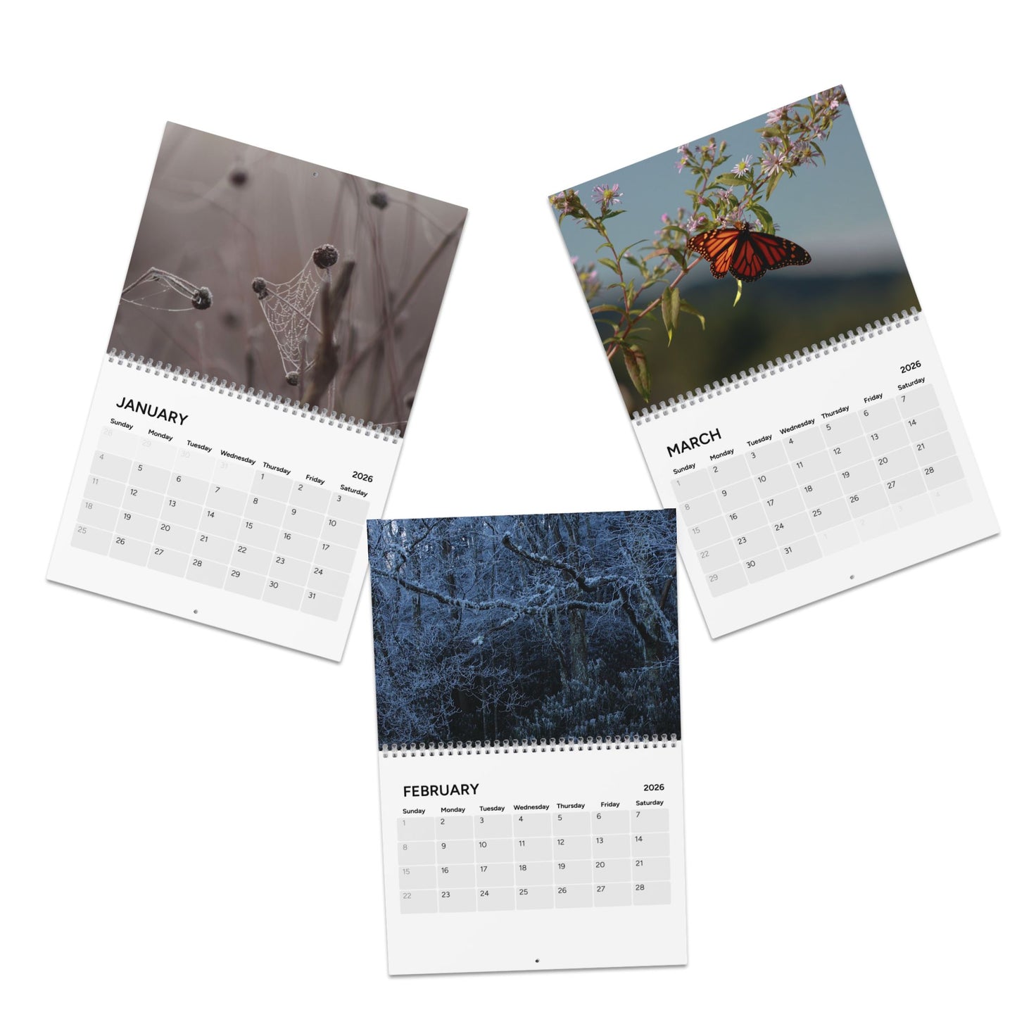 2026 Wildlife & Nature Calendar