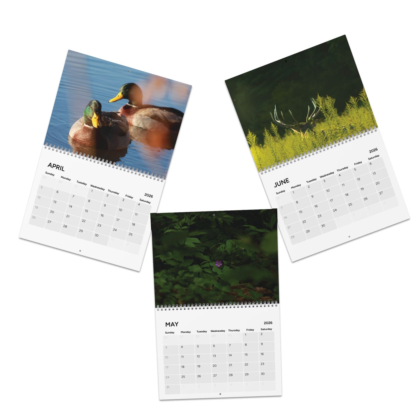 2026 Wildlife & Nature Calendar