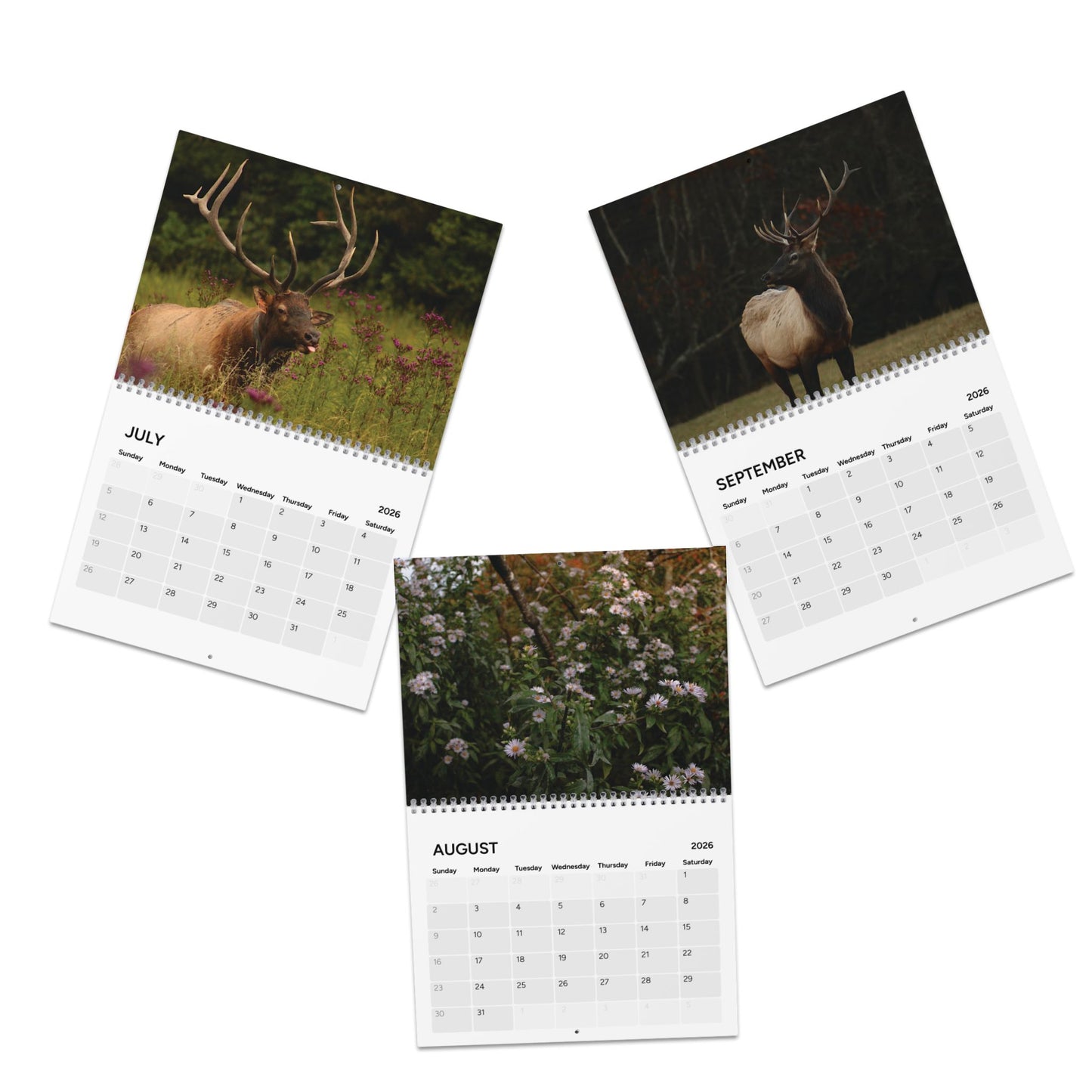 2026 Wildlife & Nature Calendar